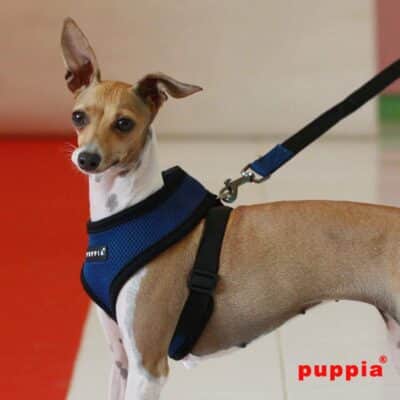 Puppia Soft Dog Harness No Choke Over-The-Head Triple Layered Breathable Mesh Adjustable C - Image 3