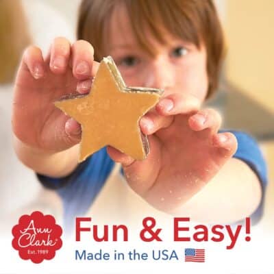 Cute Bee Cookie Cutter, 3" Made in USA by Ann Clark - Image 6