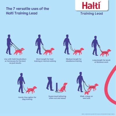 HALTI Training Leash - Multifunctional Double-Ended Dog Leash, Ideal for Anti-Pulling Dog - Image 2