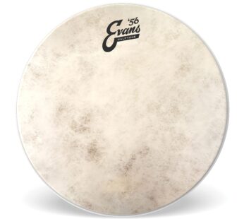 Evans Drum Heads – Calftone Tom Drumhead, 14 Inch