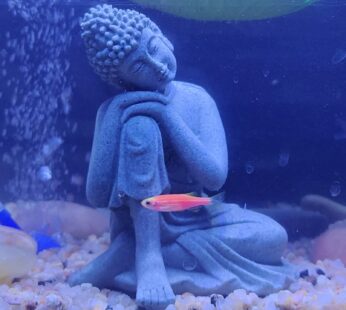 mozhixue Fish Tank Buddha Statue Decorations Aquarium Decor Betta Fish Tank Accessories Or