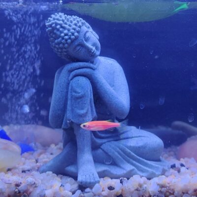 mozhixue Fish Tank Buddha Statue Decorations Aquarium Decor Betta Fish Tank Accessories Or
