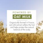 Klorane Dry Shampoo with Oat Milk, Ultra-Gentle, All Hair Types, No White Residue, Paraben - Image 3
