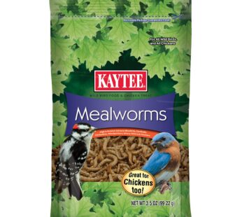 Kaytee Wild Bird Food Mealworms For Bluebirds, Wrens, Robins, Chickadees, Woodpeckers, Car