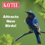 Kaytee Wild Bird Food Mealworms For Bluebirds, Wrens, Robins, Chickadees, Woodpeckers, Car - Image 8