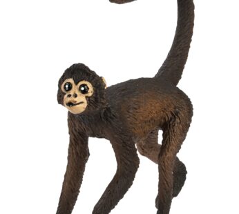 Safari Ltd. Spider Monkey Figurine – Realistic 3″ Wildlife Figure – Educational Toy for Bo