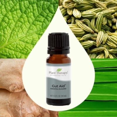 Plant Therapy Gut Aid Essential Oil Blend 10 mL (1/3 oz) 100% Pure, Undiluted, Natural Aro - Image 3