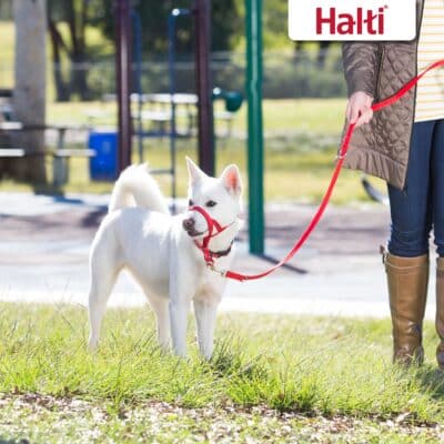 HALTI Training Leash - Multifunctional Double-Ended Dog Leash, Ideal for Anti-Pulling Dog - Image 4