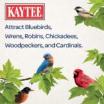 Kaytee Wild Bird Food Mealworms For Bluebirds, Wrens, Robins, Chickadees, Woodpeckers, Car - Image 5