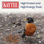 Kaytee Wild Bird Food Mealworms For Bluebirds, Wrens, Robins, Chickadees, Woodpeckers, Car - Image 6