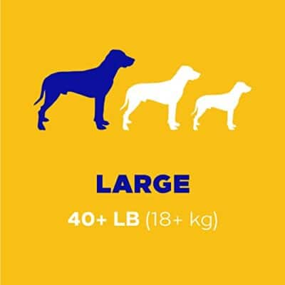 PEDIGREE DENTASTIX Large Dog Dental Treats Original Flavor Dental Bones, 1.72 lb. Pack (32 Treats) - Image 7