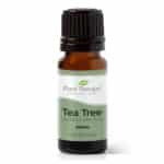 Plant Therapy Tea Tree Essential Oil 100% Pure, Undiluted, Natural Aromatherapy, Therapeutic Grade 10 mL (1/3 oz)