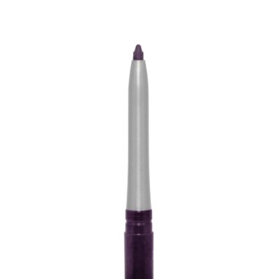 Palladio Retractable Waterproof Eyeliner, Richly Pigmented Color and Creamy, Slip Twist Up Pencil Eye Liner, Smudge Proof Long Lasting Application, All Day Wear, No Sharpener Required, Exotic Plum - Image 2