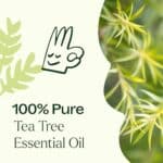 Plant Therapy Tea Tree Essential Oil 100% Pure, Undiluted, Natural Aromatherapy, Therapeutic Grade 10 mL (1/3 oz) - Image 6