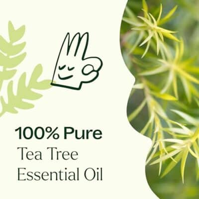 Plant Therapy Tea Tree Essential Oil 100% Pure, Undiluted, Natural Aromatherapy, Therapeutic Grade 10 mL (1/3 oz) - Image 6