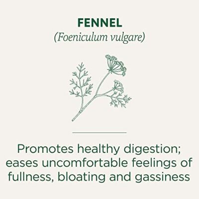 Traditional Medicinals Organic Fennel Herbal Tea, Promotes Digestive Health, (Pack of 1) - 16 Tea Bags - Image 4