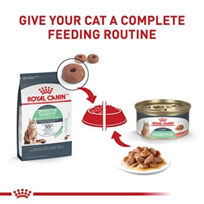 Royal Canin Feline Digestive Care Thin Slices in Gravy Wet Cat Food, 3 oz can (24-count) - Image 6