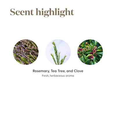 Melrose Essential Oil 15ml - Refreshing and Rejuvenating Blend by Young Living Essential Oils - Promotes Skin Health and Soothes Minor Skin Irritations - Image 5