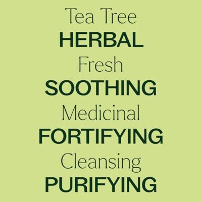 Plant Therapy Tea Tree Essential Oil 100% Pure, Undiluted, Natural Aromatherapy, Therapeutic Grade 10 mL (1/3 oz) - Image 4