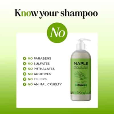 Clarifying Shampoo for Build Up & Oily Hair - Tea Tree Shampoo for Men and Women with Rosemary Essential Oil for Oily Hair and Scalp - Color Safe Vegan Sulfate Silicone & Paraben Free (16 Fl Oz) - Image 7