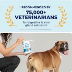 Vetnique Labs Glandex Dog Wipes for Pets Cleansing & Deodorizing Anal Gland Hygienic Dog & Cat Wipes with Vitamin E, Skin Conditioners and Aloe (75ct) - Image 4
