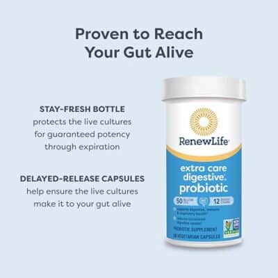 Renew Life Extra Care Digestive Probiotic Capsules, 50 Billion CFU Guaranteed, Daily Supplement Supports Immune, Digestive, Respiratory Health(1), L. Rhamnosus GG, Dairy, Soy and Gluten-Free, 90 Count - Image 5