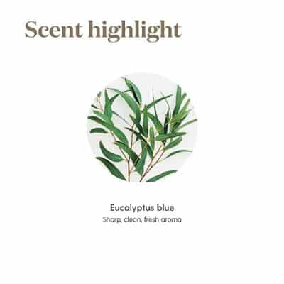 Young Living Eucalyptus Blue Premium Essential Oil Diffuser - 100% Pure, Cool & Refreshing Scent - Aromatherapy for Relaxation and Muscle Relief - 5ml Bottle - Image 7
