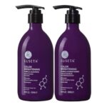 Luseta Purple Shampoo and Conditioner Set for Blonde, Gray - Color Treated Hair - Sulfate Free Paraben Free - Infused with Cocos Nucifera Oil for Curly and Damaged Hair - 2x16.9oz