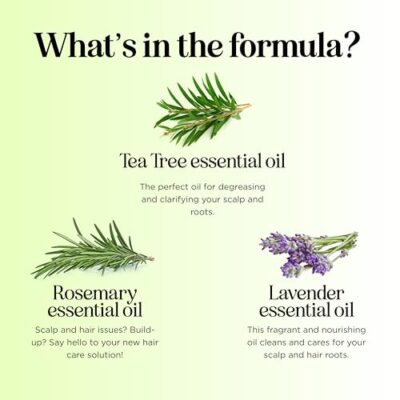 Clarifying Shampoo for Build Up & Oily Hair - Tea Tree Shampoo for Men and Women with Rosemary Essential Oil for Oily Hair and Scalp - Color Safe Vegan Sulfate Silicone & Paraben Free (10 Fl Oz) - Image 6