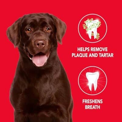 Petrodex Toothpaste for Dogs and Puppies, Cleans Teeth and Fights Bad Breath, Reduces Plaque and Tartar Formation, Enzymatic Toothpaste, Peanut Flavor, 2.5oz - Image 2