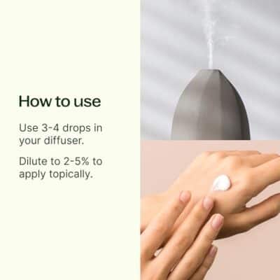 Plant Therapy Tea Tree Essential Oil 100% Pure, Undiluted, Natural Aromatherapy, Therapeutic Grade 10 mL (1/3 oz) - Image 2