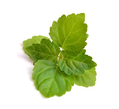 US Organic 100% Pure Patchouli Essential Oil - USDA Certified Organic, Steam Distilled - W/Euro droppers (More Size Variations Available) (15 ml / .5 fl oz) - Image 4