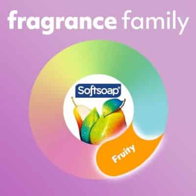 Softsoap Antibacterial Liquid Hand Soap, White Tea & Berry Scent Hand Soap, 11.25 Ounce, 6 Pack - Image 11