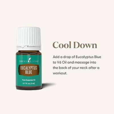 Young Living Eucalyptus Blue Premium Essential Oil Diffuser - 100% Pure, Cool & Refreshing Scent - Aromatherapy for Relaxation and Muscle Relief - 5ml Bottle - Image 3