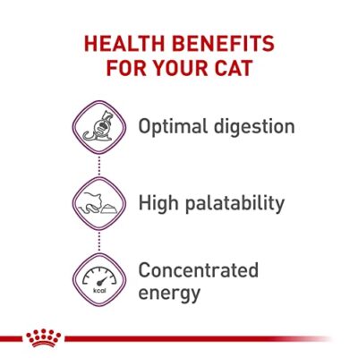 Royal Canin Feline Health Nutrition Sensitive Digestion Cat Food Dry Formula, Balanced Nutrition to Support Digestive Health, 7 lb Bag - Image 4