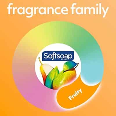 Softsoap Antibacterial Liquid Hand Soap, White Tea & Berry Scent Hand Soap, 11.25 Ounce, 6 Pack - Image 12