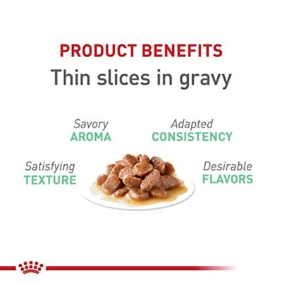 Royal Canin Feline Digestive Care Thin Slices in Gravy Wet Cat Food, 3 oz can (24-count) - Image 3