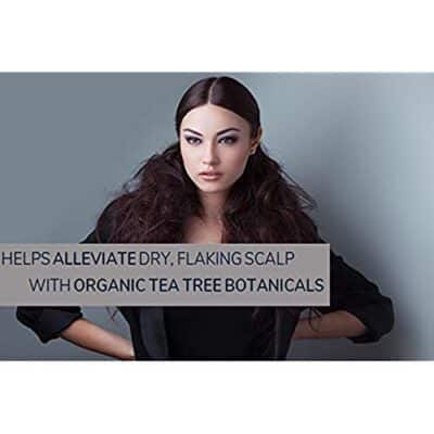 GIOVANNI Tea Tree Triple Treat Invigorating Shampoo - Cooling Peppermint, Eucalyptus & Rosemary, Strengthen & Rejuvenate Hair & Scalp, Salon Quality, Paraben Free, Tea Tree Shampoo - 8.5 oz (3 Pack) - Image 12