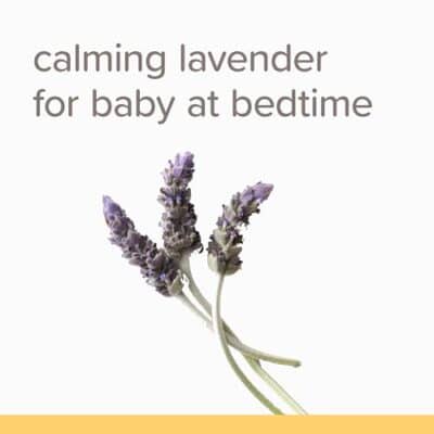 Burt's Bees Baby Calming Shampoo and Wash with Lavender, Tear-Free, 12 Fluid Ounces - Image 3