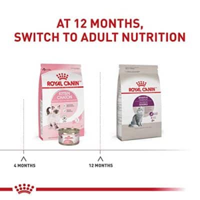 Royal Canin Feline Health Nutrition Sensitive Digestion Cat Food Dry Formula, Balanced Nutrition to Support Digestive Health, 7 lb Bag - Image 5