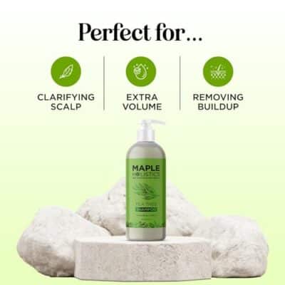 Clarifying Shampoo for Build Up & Oily Hair - Tea Tree Shampoo for Men and Women with Rosemary Essential Oil for Oily Hair and Scalp - Color Safe Vegan Sulfate Silicone & Paraben Free (16 Fl Oz) - Image 2