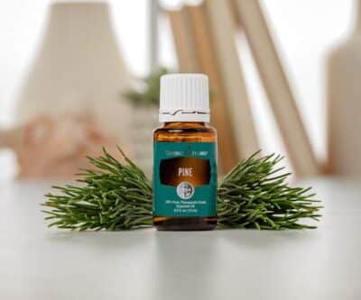 Young Living Pine Essential Oil 15ml - Image 3