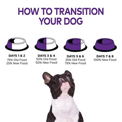 Wellness Complete Health Toy Breed Dry Dog Food with Grains, Chicken & Rice, 4-Pound Bag (Packaging may vary) - Image 10