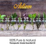 Artizen 30ml Oils - Aniseed Essential Oil - 1 Fluid Ounce - Image 3