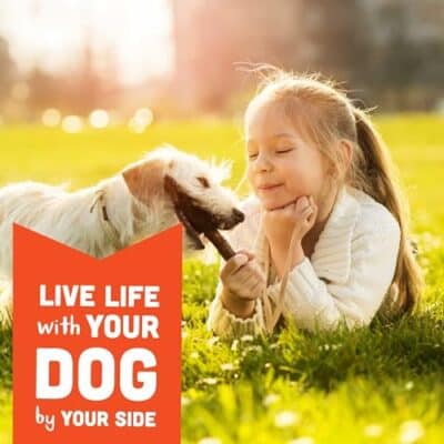 Cloud Star Corp, Wag More Bark Less Soft & Chewy Grain Free Peanut Butter & Apples Dog Treats - Image 7