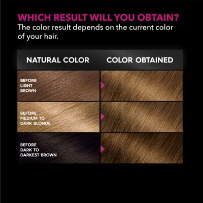Garnier Hair Color Olia Ammonia-Free Brilliant Color Oil-Rich Permanent Hair Dye, 6.3 Light Golden Brown, 1 Count (Packaging May Vary) - Image 5