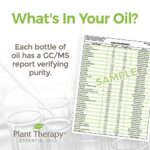 Plant Therapy Cedarwood Atlas Essential Oil 100% Pure, Undiluted, Natural Aromatherapy, Therapeutic Grade 10 mL (1/3 oz) - Image 5