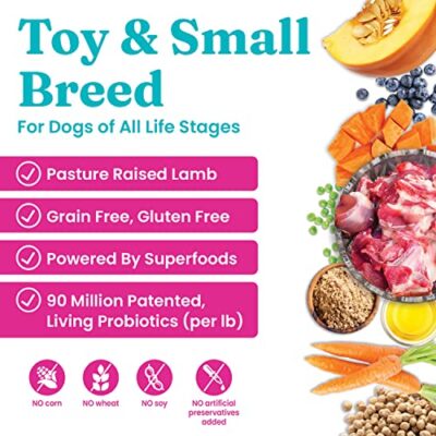 Solid Gold Mighty Mini Small Breed Dog Food - Dry Dog Food for Any Toy Breed - for Gut Health & Sensitive Stomach Support - Digestive Probiotics for Dogs - Grain & Gluten Free Recipe - Image 2