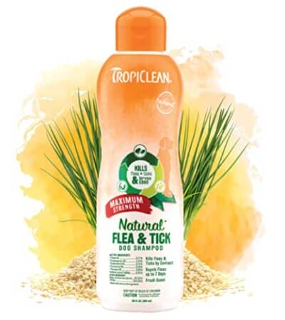 TropiClean Maximum Strength Natural Flea and Tick Dog Shampoo for Flea and Tick Prevention for Dogs | Made in the USA | 20 oz