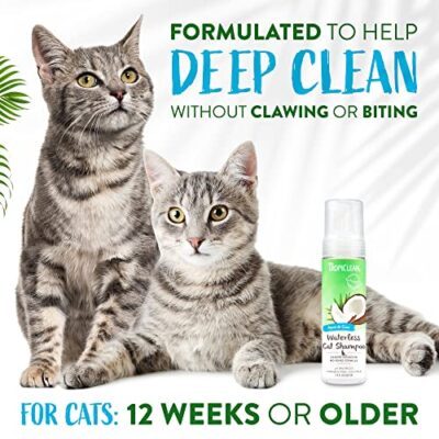 TropiClean Aqua de Coco Waterless Cat Shampoo | Cat Dandruff & Cat Allergen Reducer | Natural Dry Cat Shampoo Derived from Natural Ingredients | Made in The USA | 7.4 oz - Image 4